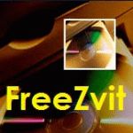Формирование отчета ЕСВ в программе FreeZvit